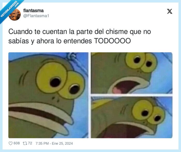 chismes,contar,todo,entender