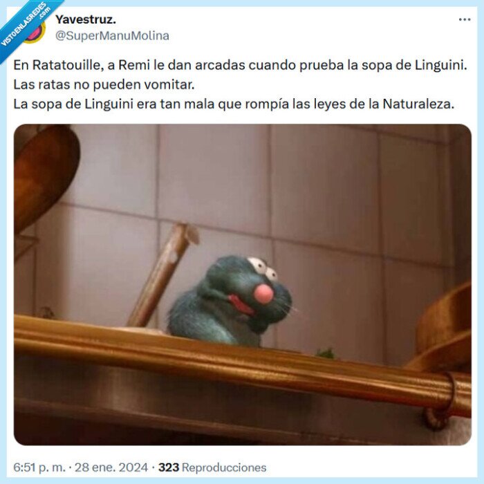 sopa,ratatouille,vomitar