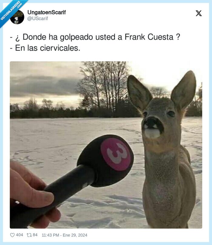 ciervicales,golpeado,donde,frank cuesta