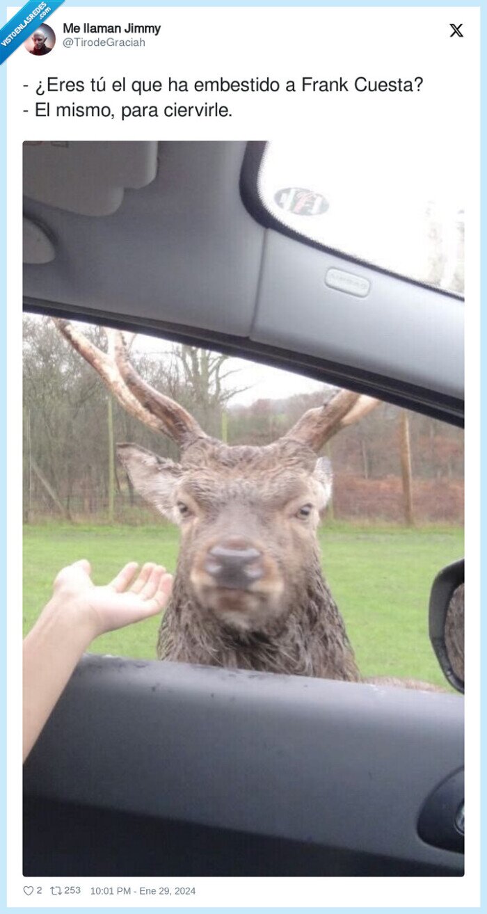 ciervirle,embestido,ciervo,frank cuesta