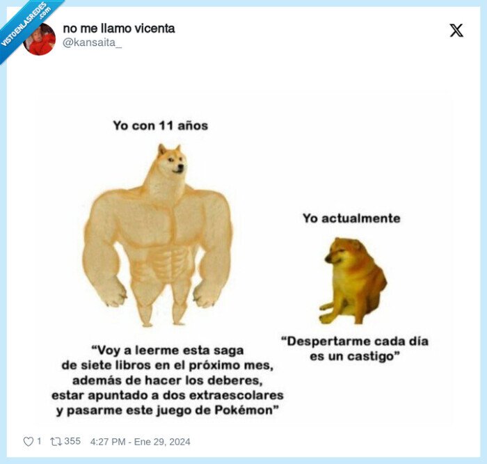 doge,cheems,crecer,niño,joven