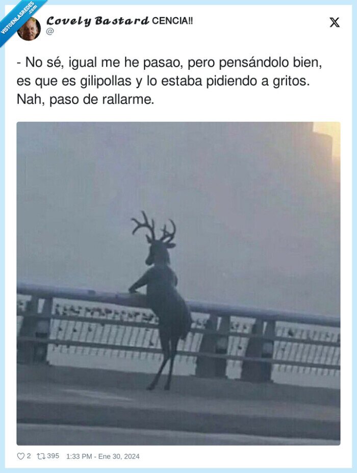 rallado,reflexionar,ciervo,frank cuesta