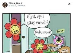Enlace a P0rn floral, por @TESLA_CREADOR