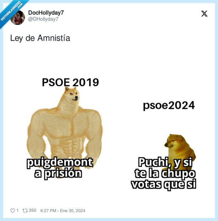 amnistía,ley,psoe,doge,cheems,puigdemont