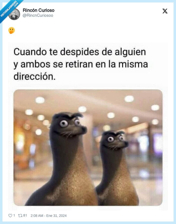 focas,despedirse,misma direccion