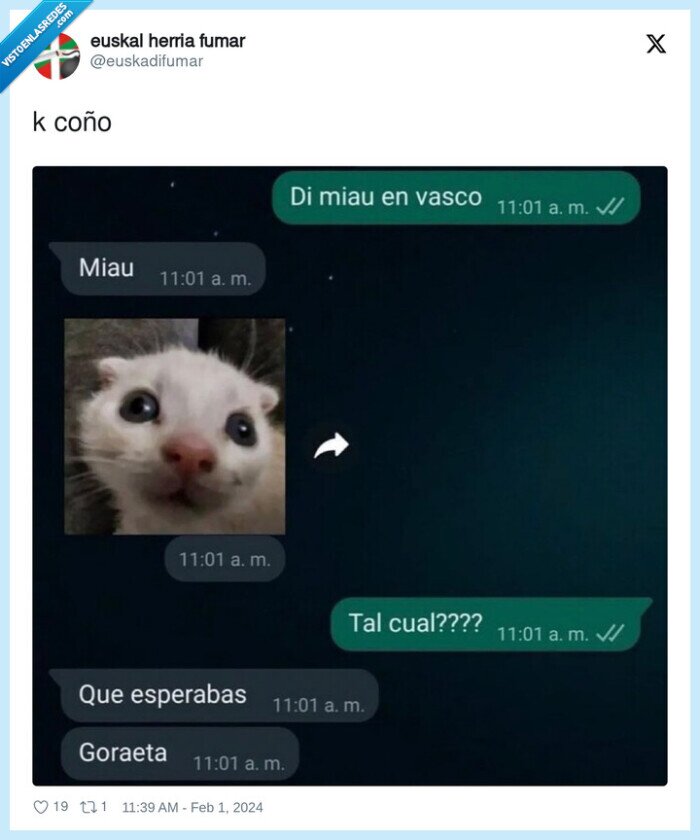 goraeta,miau,gato,euskera