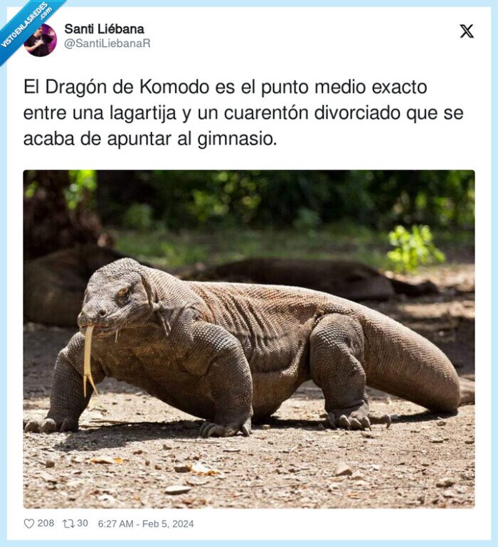 cuarentón,divorciado,lagartija,gimnasio,dragón de komodo