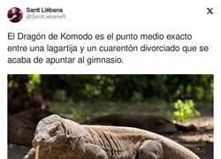 Enlace a No se podía haber definido mejor, por @SantiLiebanaR