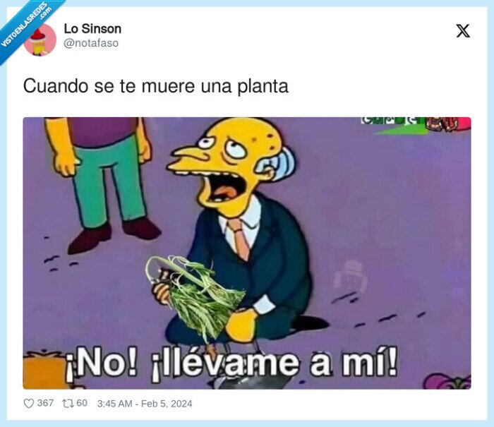 planta,morirse,sr burns