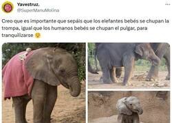 Enlace a Un dato importante por @supermanumolina