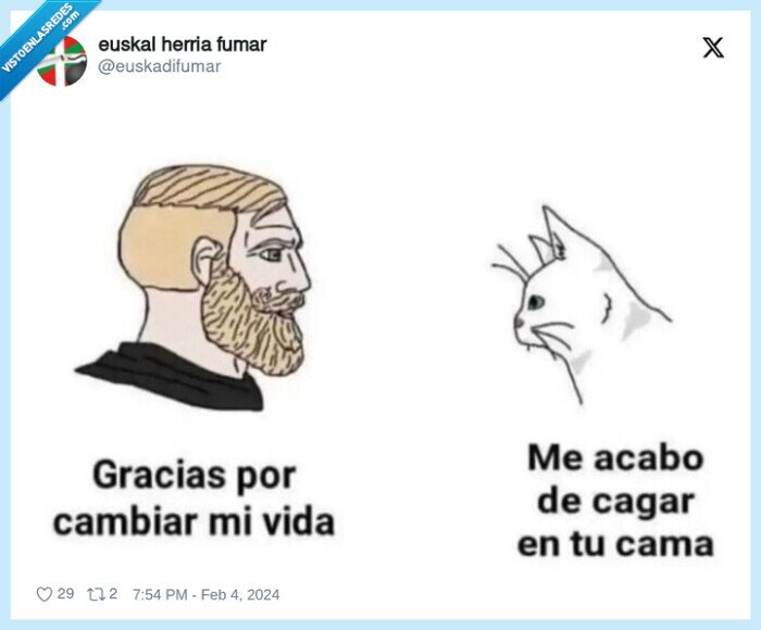 gato,cagarse,cama,cambiar,vida