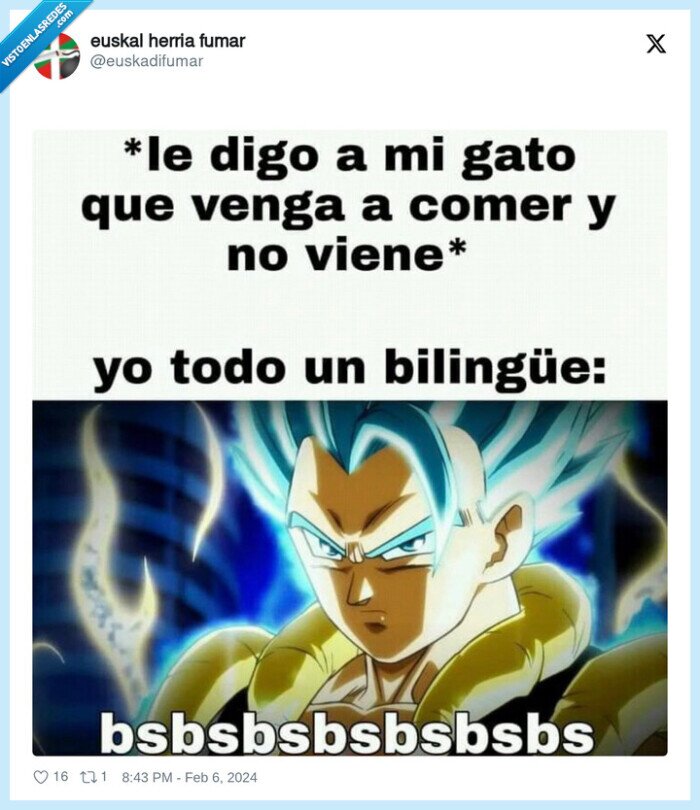 gato,bsbsbsbs,llamar,bilingue