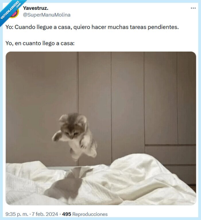 tareas,llegar,casa,pendientes