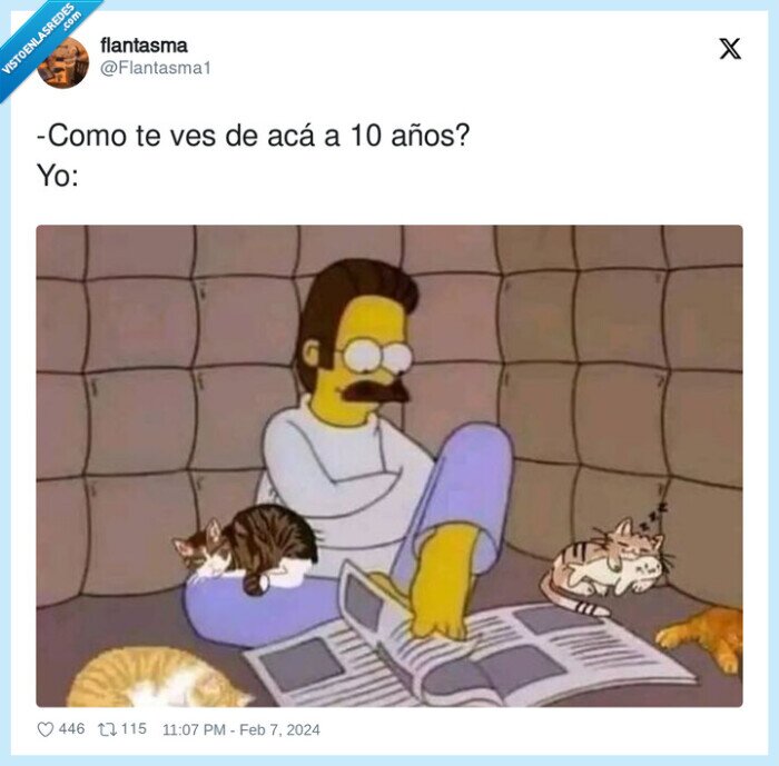 años,verse,gatos,flanders