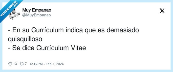 quisquilloso,currículum vitae,demasiado