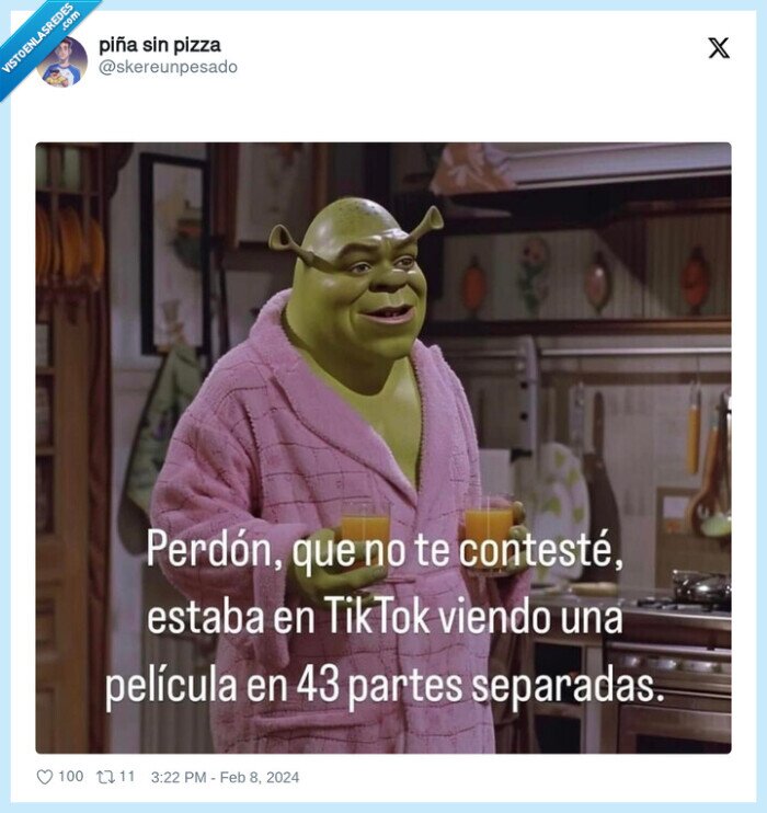 tiktok,shrek,pelicula,partida