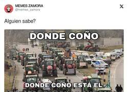 Enlace a Recuerdo desbloqueado, canción de zapato veloz, por @memes_zamora