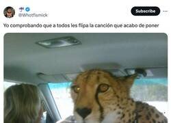 Enlace a Lo que hace un buen copiloto, por @Whotfismick