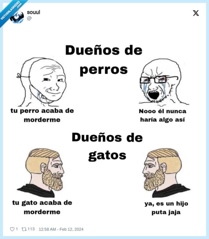 dueños,perros,gatos