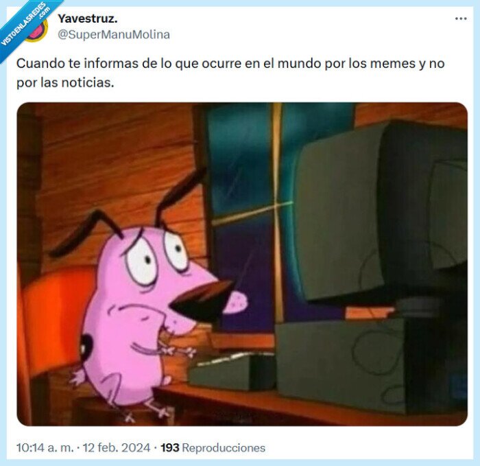 perro cobarde,noticias,memes,informarse