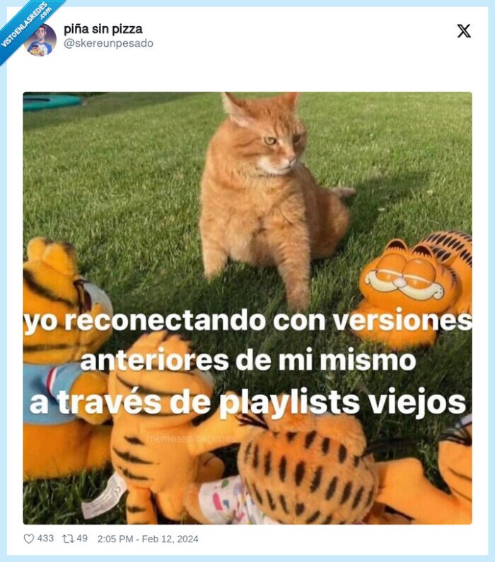 gatos,playlist,personalidades