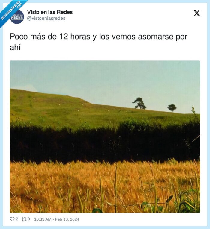 san valentin,sam va lentin,memes,14 de febrero,rallas