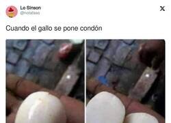 Enlace a Todo proteína, por @notafaso