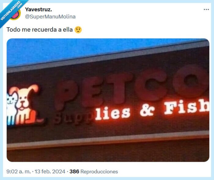 ella,recordar,pescado,mentiras