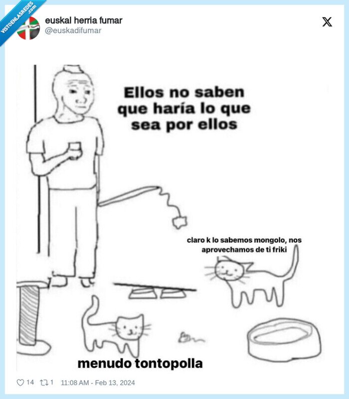 gatos,dominar,querer,aprovecharse