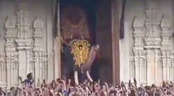 Enlace a Los indios están flipando con este elefante gigante, y lo veneran como a un Dios