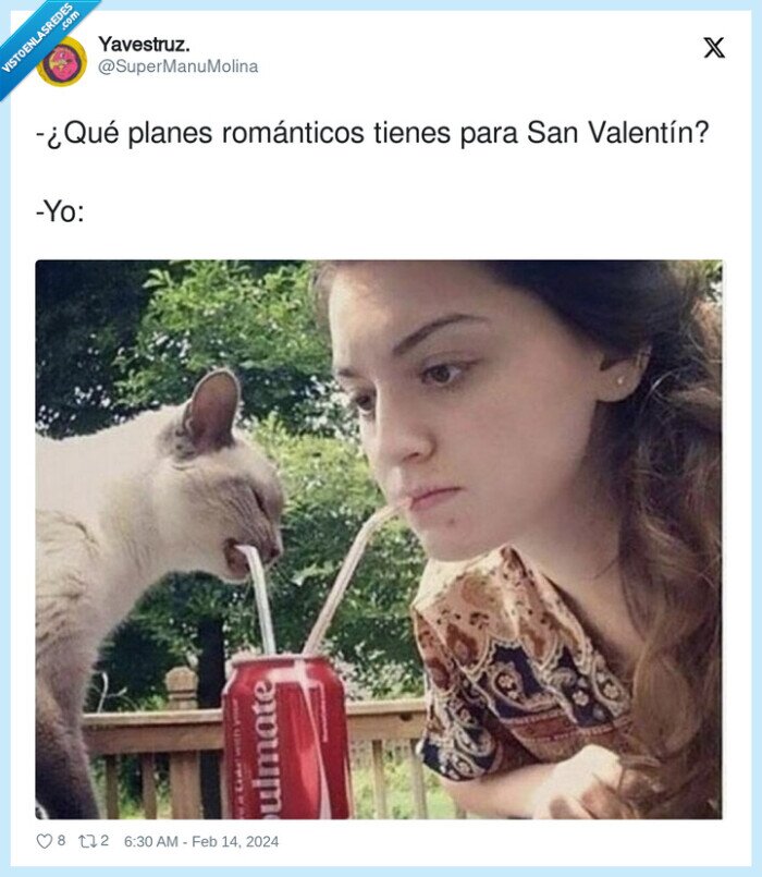 rom&aacute;nticos,san valent&iacute;n,plan