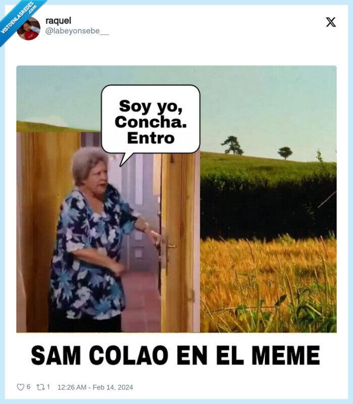 san valentin,sam va lentin,memes,14 de febrero,concha,lqsa