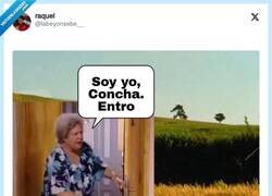 Enlace a ¿Concha dónde vas? por @labeyonsebe__