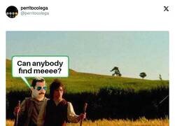 Enlace a Can anybody find meeeeeee, por @perritocolega