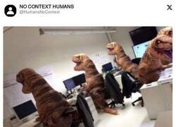 Enlace a Mientras tanto, en un universo paralelo, por @HumansNoContext