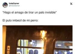 Enlace a Ahí va, por @InstaSamer