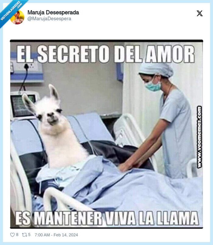 llama,mantener,viva