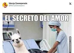 Enlace a El secreto del amor, por @MarujaDesespera