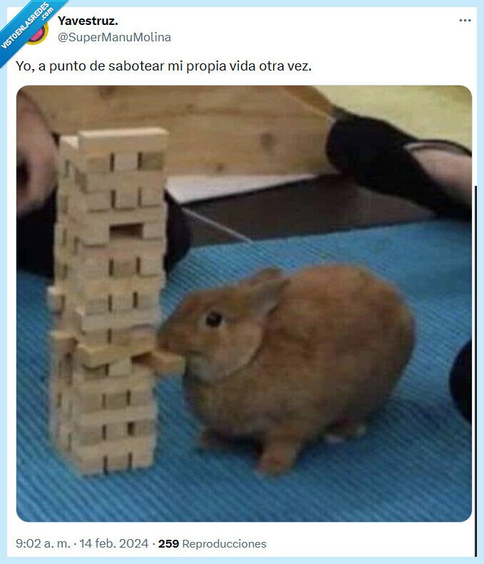 sabotear,propia,vida