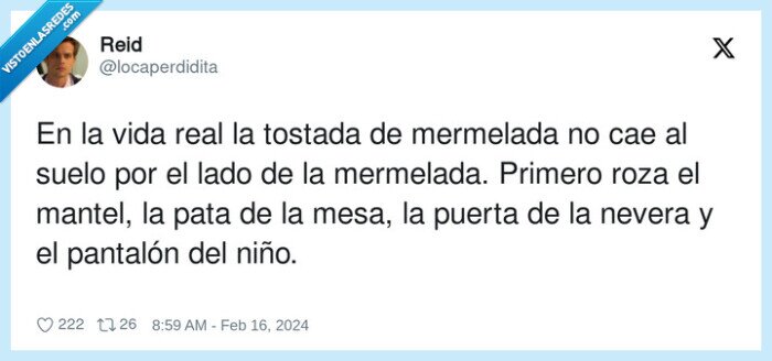 mermelada,pantalón,manchar,tostada,mantel,nevera