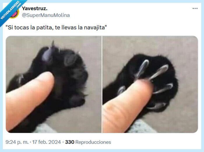 patita,gato,navajita