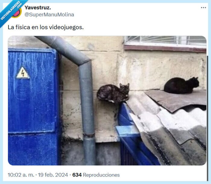 física,gato,videojuego
