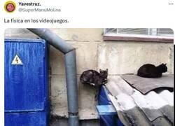 Enlace a La gravedad no afecta a los gatos por @supermanumolina