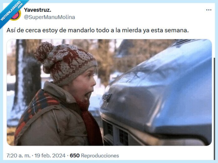 cerca,madar,mierda,solo en casa