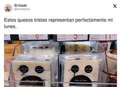 Enlace a Feliz lunes a todos, por @cochifried