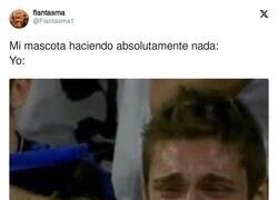 Enlace a Lo mismo pasa con los niños pequeños, por @Flantasma1