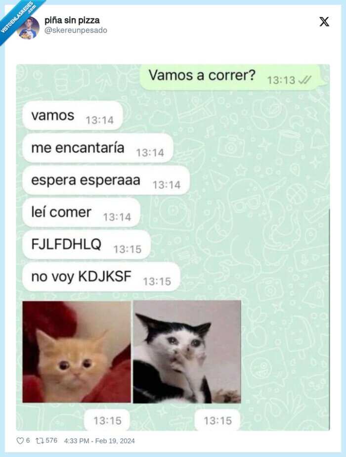 gato,comer,correr