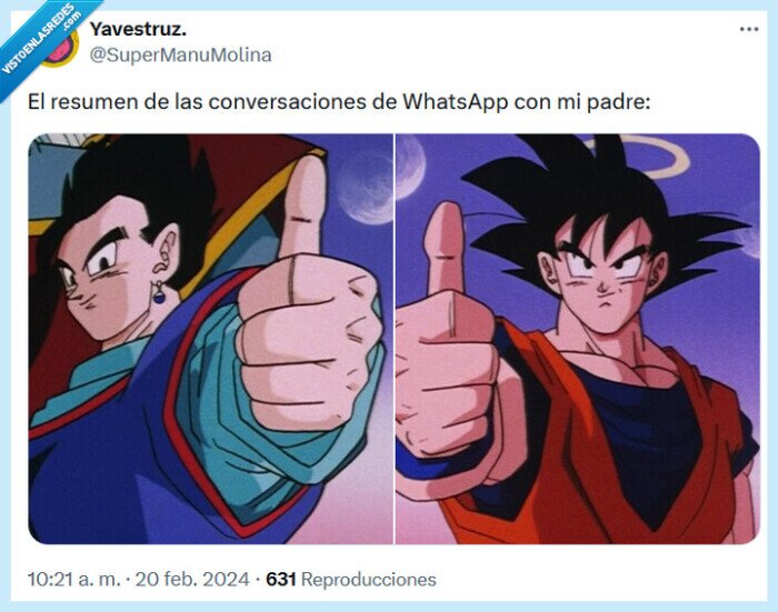 padre,conversación,dragon ball,okei,whatsapp