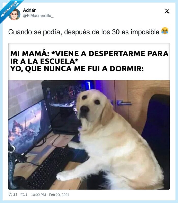 videojuegos,jugar,vicio,perro,madre,despertar