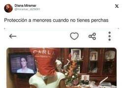 Enlace a Llamando a servicios sociales, por @miramar_di29081